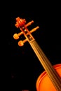 Violin Royalty Free Stock Photo