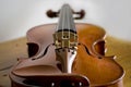 Violin macro