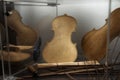 Violin making - Violin maker manufactory Royalty Free Stock Photo