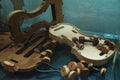 Violin making - Violin maker manufactory Royalty Free Stock Photo