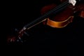 Violin orchestra musical instruments close up on black. Music background with violin Royalty Free Stock Photo