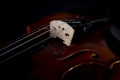 Violin orchestra musical instruments close up on black. Music background with violin Royalty Free Stock Photo