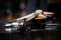 Violin music instrument of orchestra Royalty Free Stock Photo