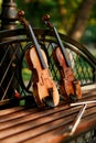 Violin music instrument of orchestra. Violins in the park on the bench Royalty Free Stock Photo