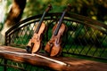 Violin music instrument of orchestra. Violins in the park on the bench Royalty Free Stock Photo