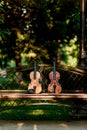 Violin music instrument of orchestra. Violins in the park on the bench Royalty Free Stock Photo