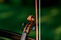 Violin music instrument of orchestra. Violins in the park on the bench Royalty Free Stock Photo