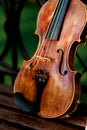 Violin music instrument of orchestra. Violins in the park on the bench Royalty Free Stock Photo