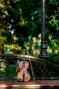 Violin music instrument of orchestra. Violins in the park on the bench Royalty Free Stock Photo