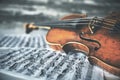 Violin on music sheets Royalty Free Stock Photo