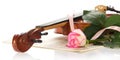 Violin, notes, the rose, decorated with tape