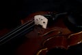 Violin orchestra musical instruments close up on black. Music background with violin Royalty Free Stock Photo