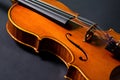 Violin part on black Royalty Free Stock Photo