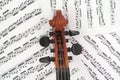 Violin Peg Box with Music Royalty Free Stock Photo