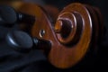 Violin peg head scroll close up Royalty Free Stock Photo