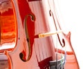 Violin Royalty Free Stock Photo