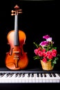 Violin on the piano Royalty Free Stock Photo