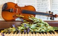 Violin, Piano, and Spring Flowers Royalty Free Stock Photo