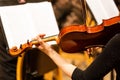 Violin Playing Hands Close Up Royalty Free Stock Photo