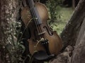 Violin put on background,at the back of blurred grass flowers Royalty Free Stock Photo