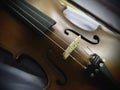 Violin put on background,show detail of acoustic instrument