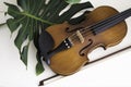 Violin put beside green leaf Royalty Free Stock Photo
