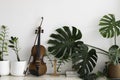 Violin put beside green leaf Royalty Free Stock Photo