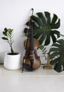 Violin put beside green leaf Royalty Free Stock Photo