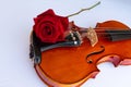 violin with a red rose music romantic