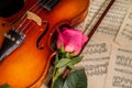 A violin, red rose and sheet music Royalty Free Stock Photo