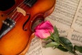 A violin, red rose and sheet music Royalty Free Stock Photo