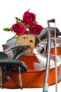Violin and red roses Royalty Free Stock Photo