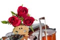 Violin and red roses Royalty Free Stock Photo