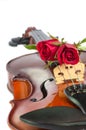Violin and red roses Royalty Free Stock Photo