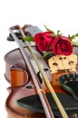 Violin and red roses Royalty Free Stock Photo