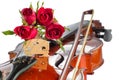 Violin and red roses Royalty Free Stock Photo