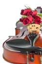Violin and red roses Royalty Free Stock Photo