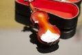 violin in red velvet case Royalty Free Stock Photo