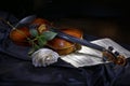 Violin with rose