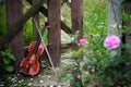 The Violin In Rose Garden