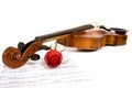 Violin, rose and music Royalty Free Stock Photo