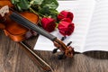 Violin, rose and music books