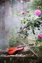 The Violin And Rose