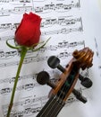 Violin, Rose and sheet music