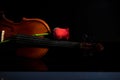 Violin and rose, Violin orchestra musical instruments Royalty Free Stock Photo