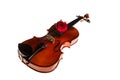 Violin and rose, Violin orchestra musical instruments Royalty Free Stock Photo