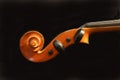 Violin scroll