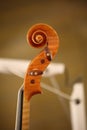 Violin scroll, head details with pegs. Royalty Free Stock Photo