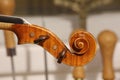 Violin scroll, head details with pegs. Royalty Free Stock Photo