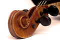 Violin scroll and pegbox Royalty Free Stock Photo